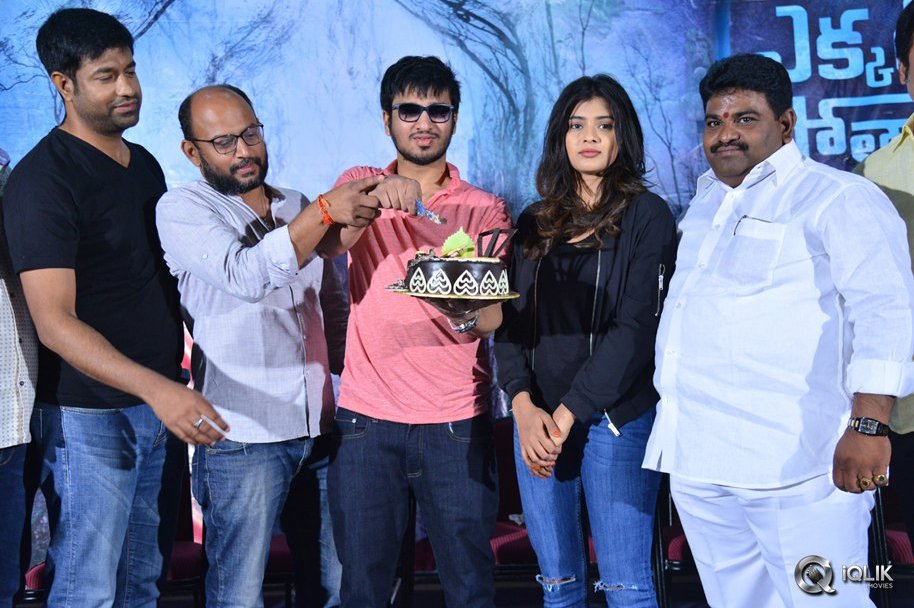 Ekkadiki-Pothavu-Chinnavada-Movie-Thanks-Meet